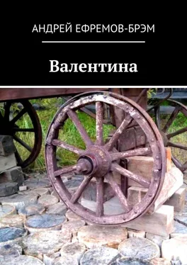 Андрей Ефремов-Брэм Валентина обложка книги