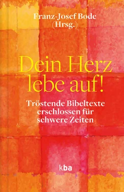 Неизвестный Автор Dein Herz lebe auf! обложка книги