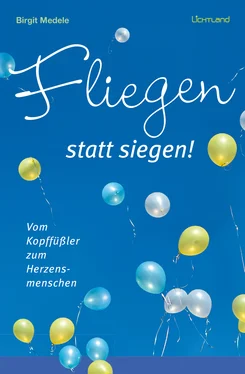 Birgit Medele Fliegen statt Siegen обложка книги