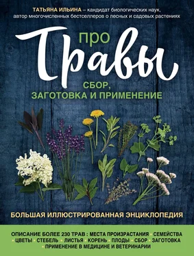 Татьяна Ильина Про травы. Сбор, заготовка и применение обложка книги