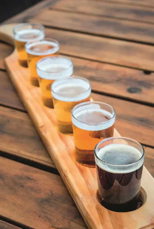 Итак что же такое craft beerУвы потратив немало слов автор так и не дает - фото 12