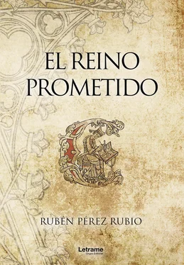 Rubén Pérez Rubio El reino prometido обложка книги