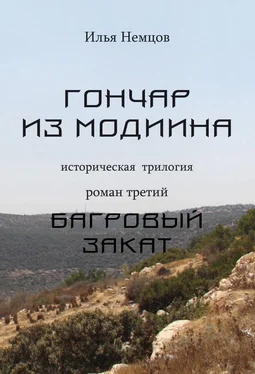 Илья Немцов Багровый закат обложка книги