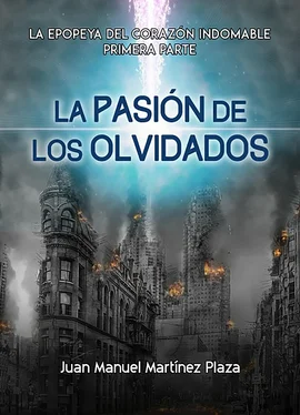 Juan Manuel Martínez Plaza La Pasión de los Olvidados: обложка книги