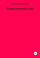 Виталий Самолюк - Осмысленная сила