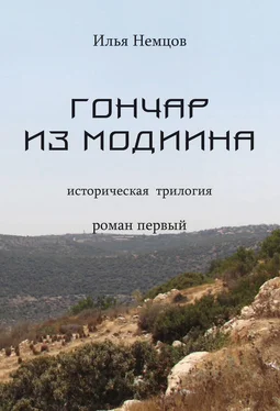 Илья Немцов Гончар из Модиина обложка книги