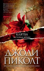 Джоди Пиколт - Клятва. История любви