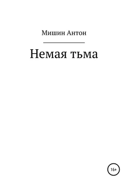 Антон Мишин Немая тьма обложка книги