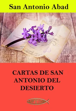 San Antonio Abad Cartas de San Antonio del Desierto обложка книги