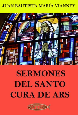 Juan María Bautista Vianney Sermones del Santo Cura de Ars обложка книги