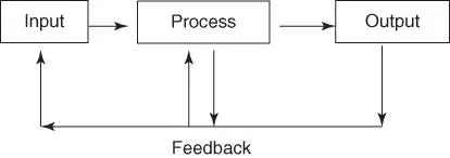 FIGURE 2Basic system depiction management systems are used by organizations - фото 3