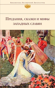 Array Народное творчество (Фольклор) Предания, сказки и мифы западных славян обложка книги