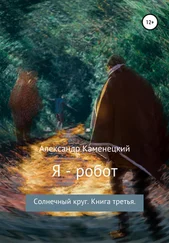 Александр Каменецкий - Я – робот. Солнечный круг. Книга третья