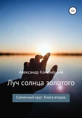 Александр Каменецкий - Луч солнца золотого. Солнечный круг. Книга вторая