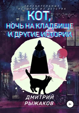 Дмитрий Рыжаков Кот, ночь на кладбище и другие истории. Сборник рассказов обложка книги