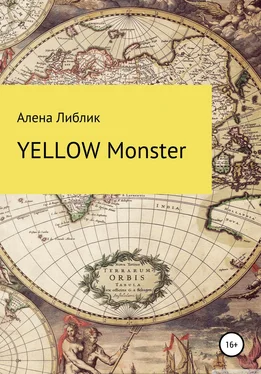 Алена Либлик Yellow Monster обложка книги