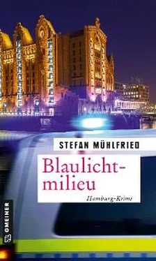 Stefan Mühlfried Blaulichtmilieu обложка книги
