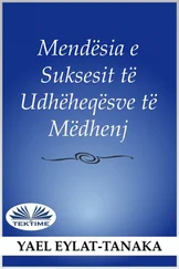 Yael Eylat-Tanaka - Mendësia E Suksesshme E Udhëheqësve Të Mëdhenj
