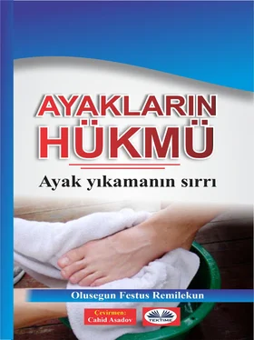 Olusegun Festus Remilekun Ayakların Hükmü обложка книги