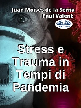 Paul Valent Stress E Trauma In Tempi Di Pandemia обложка книги