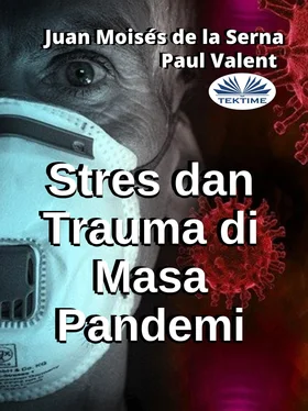 Paul Valent Stres Dan Trauma Di Masa Pandemi обложка книги