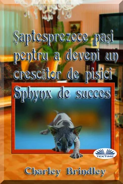Charley Brindley Șaptesprezece Pași Pentru A Deveni Un Crescător De Pisici Sphynx De Succes обложка книги