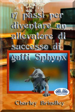 Charley Brindley 17 Passi Per Diventare Un Allevatore Di Successo Di Gatti Sphynx обложка книги