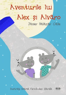 Javier Salazar Calle Aventurile Lui Alex Și Alvaro обложка книги