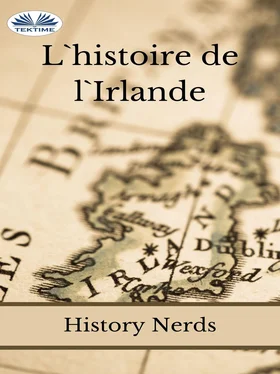 History Nerds L'Histoire De L'Irlande обложка книги