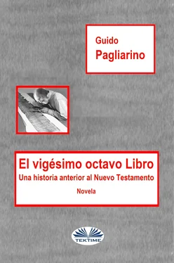 Guido Pagliarino El Vigésimo Octavo Libro обложка книги