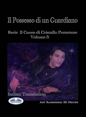 Amy Blankenship Il Possesso Di Un Guardiano обложка книги