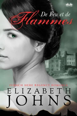 Elizabeth Johns De Feu Et De Flammes обложка книги
