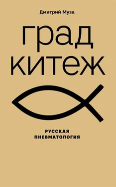 Дмитрий Муза Град Китеж: русская пневматология обложка книги