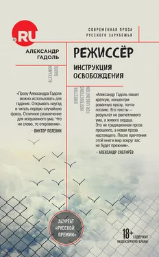 Александр Гадоль Режиссёр. Инструкция освобождения обложка книги