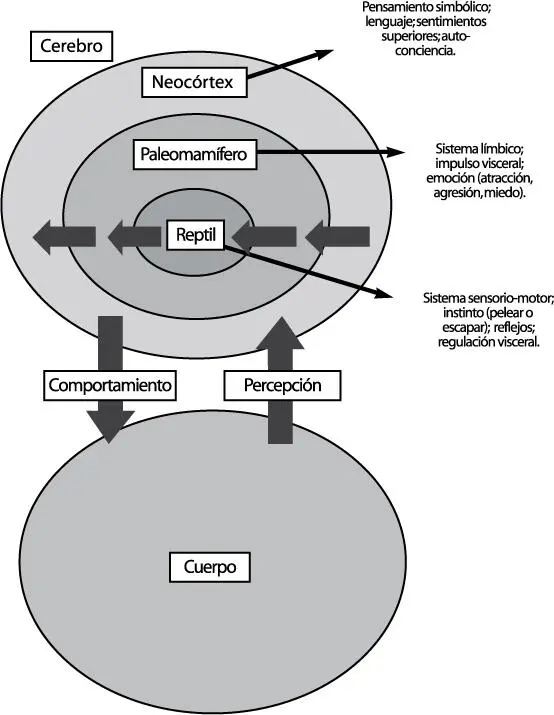 Figura 2 a Ciclo normal de percepción y comportamiento Figura 2 b - фото 4
