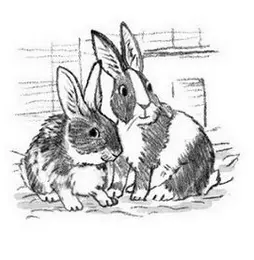САЛЛИ И САРА Сладкая парочка Ласковые любопытные кролики ищут любящих - фото 2