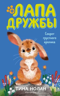Тина Нолан Секрет грустного кролика обложка книги