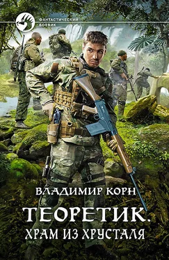 Владимир Корн Теоретик. Храм из хрусталя обложка книги