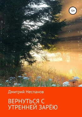 Дмитрий Неспанов Вернуться с утренней зарёю обложка книги
