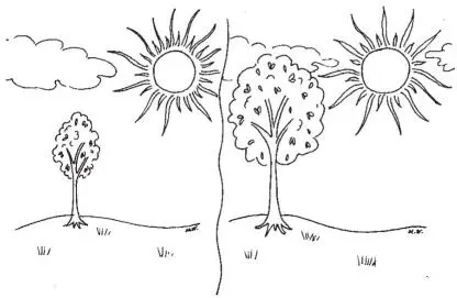 Figure 1 Sun Cloud Tree Two creatives who have been both playful and serious - фото 6