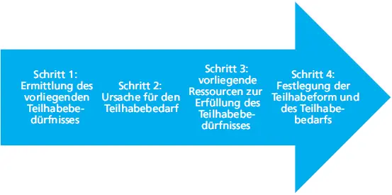 Abb 1 Schritte des pflegediagnostischen Prozesses Im ersten Schritt ermitteln - фото 34