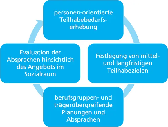 Abb 2 Übersicht über die Schritte eines integrierten Teilhabeplans - фото 39