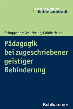 Anne Goldbach Pädagogik bei zugeschriebener geistiger Behinderung обложка книги