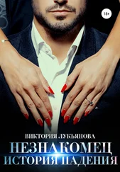 Виктория Лукьянова - Незнакомец. История падения