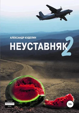 Александр Куделин Неуставняк 2 обложка книги