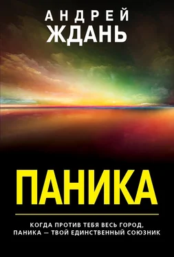 Андрей Ждань Паника обложка книги