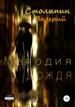 Валерий Столыпин Мелодия дождя обложка книги