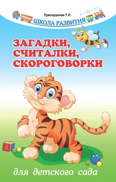 Татьяна Трясорукова Загадки, считалки, скороговорки для детского сада обложка книги