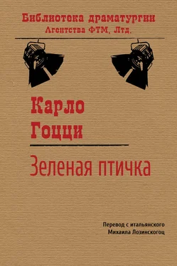 Карло Гоцци Зеленая Птичка обложка книги