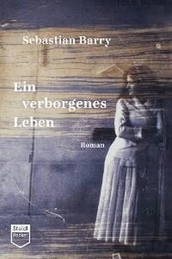 Sebastian Barry Ein verborgenes Leben (Steidl Pocket) обложка книги